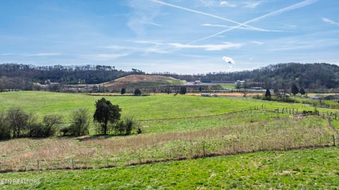 Tiny photo for 4637 Ideal Valley Rd, Spring City, TN 37381 (MLS # 1332952)