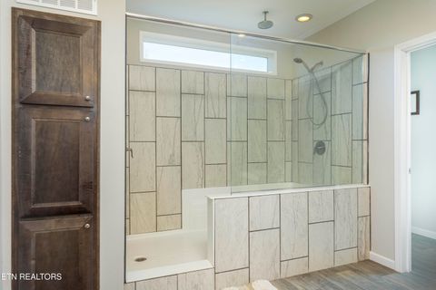 Tiny photo for 4637 Ideal Valley Rd, Spring City, TN 37381 (MLS # 1332952)