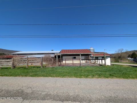 Tiny photo for 4637 Ideal Valley Rd, Spring City, TN 37381 (MLS # 1332952)