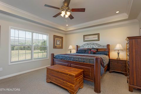 Tiny photo for 4637 Ideal Valley Rd, Spring City, TN 37381 (MLS # 1332952)