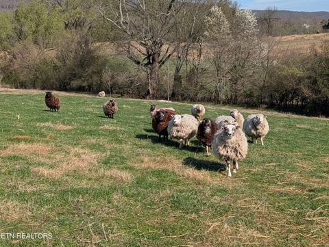 Tiny photo for 4637 Ideal Valley Rd, Spring City, TN 37381 (MLS # 1332952)