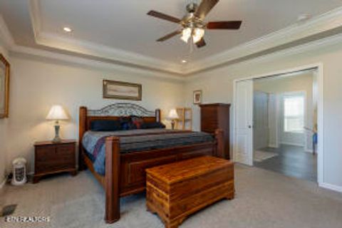 Tiny photo for 4637 Ideal Valley Rd, Spring City, TN 37381 (MLS # 1332952)