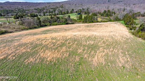 Tiny photo for 4637 Ideal Valley Rd, Spring City, TN 37381 (MLS # 1332952)