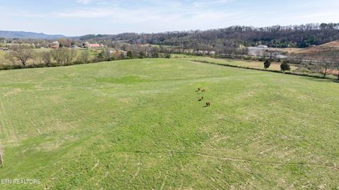 Tiny photo for 4637 Ideal Valley Rd, Spring City, TN 37381 (MLS # 1332952)