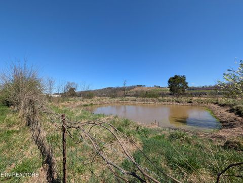 Tiny photo for 4637 Ideal Valley Rd, Spring City, TN 37381 (MLS # 1332952)