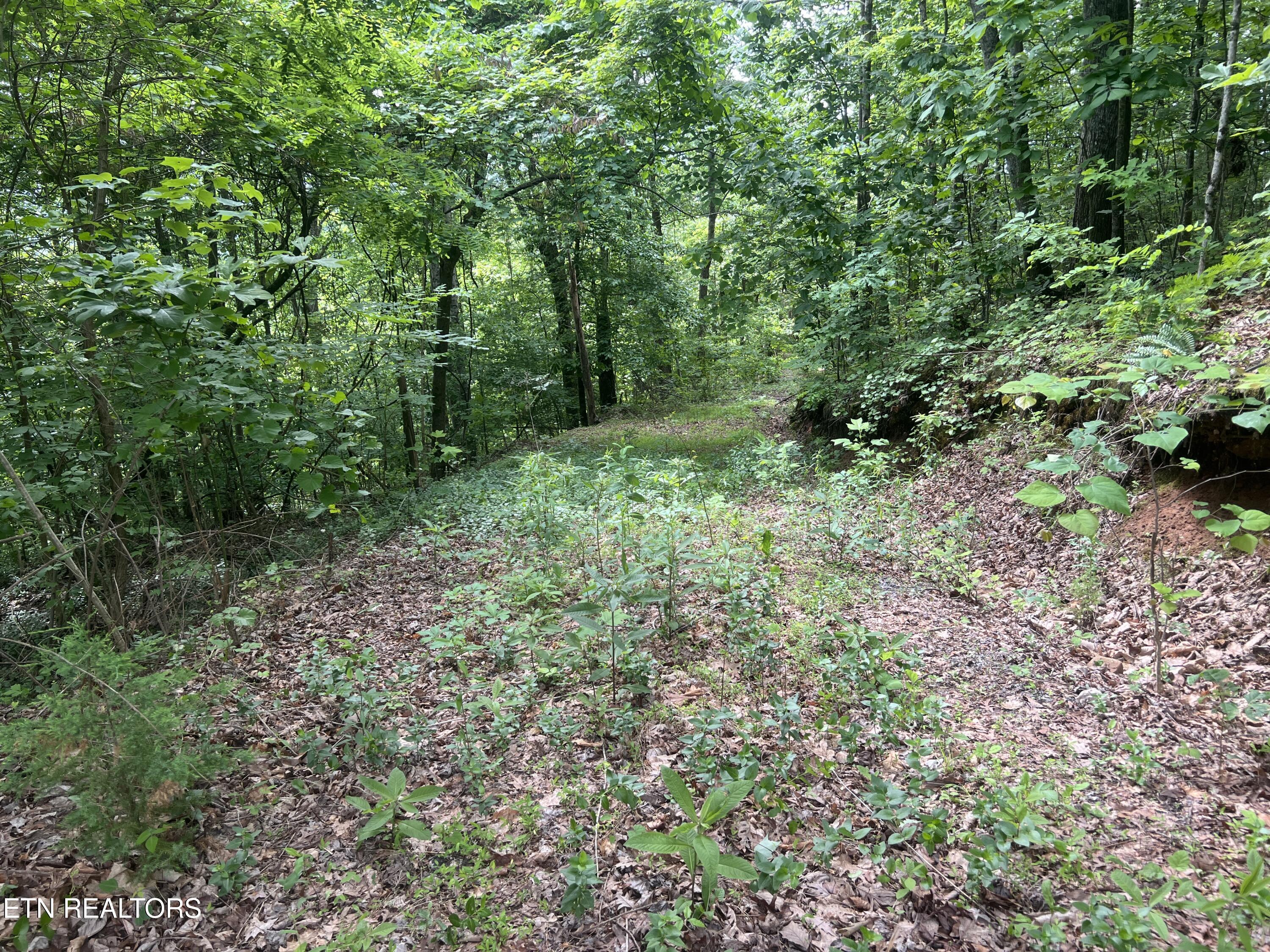 Lot 240-242 Laurel Mountain Rd