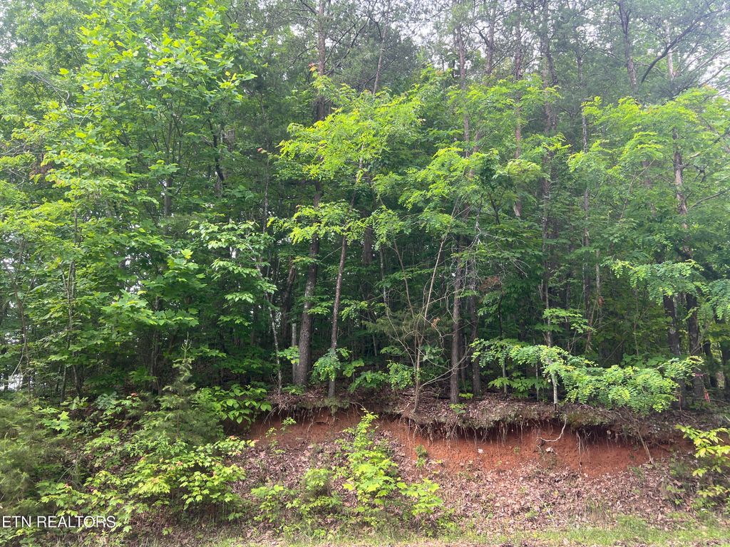 Photo of Lot 240-242 Laurel Mountain Rd, Madisonville, TN 37354 (MLS # 1306683)