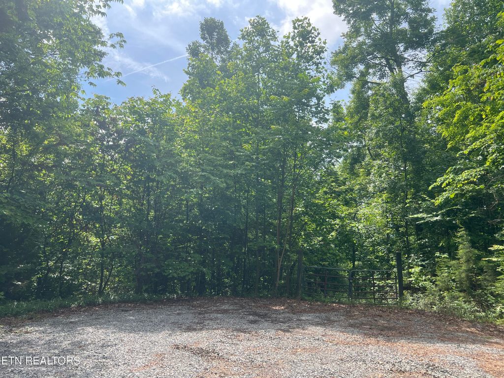 Photo of Lot 240-242 Laurel Mountain Rd, Madisonville, TN 37354 (MLS # 1306683)