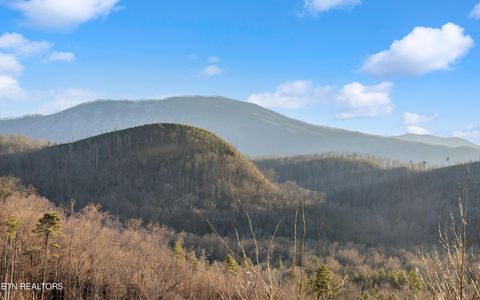 Tiny photo for 835 Perry Drive, Gatlinburg, TN 37738 (MLS # 1328557)