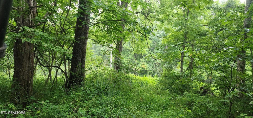 Photo of Rockhouse Creek - Church Rd, Pioneer, TN 37847 (MLS # 1357188)