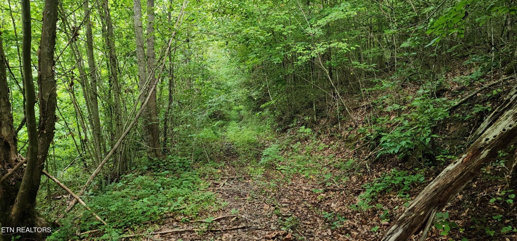 Photo of Rockhouse Creek - Church Rd, Pioneer, TN 37847 (MLS # 1357188)