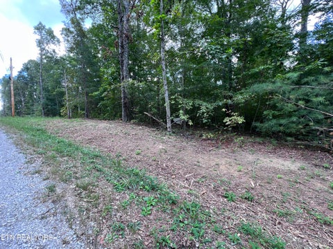 Featured picture for the property 1240165