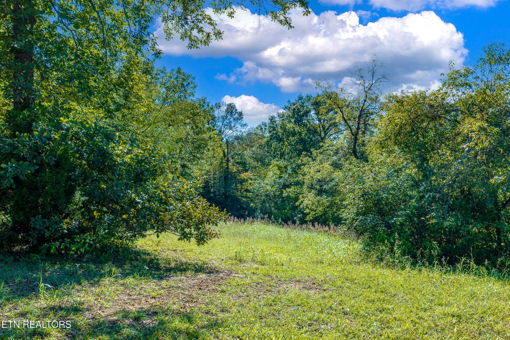 Photo of Richland Rd, Blaine, TN 37709 (MLS # 1357001)