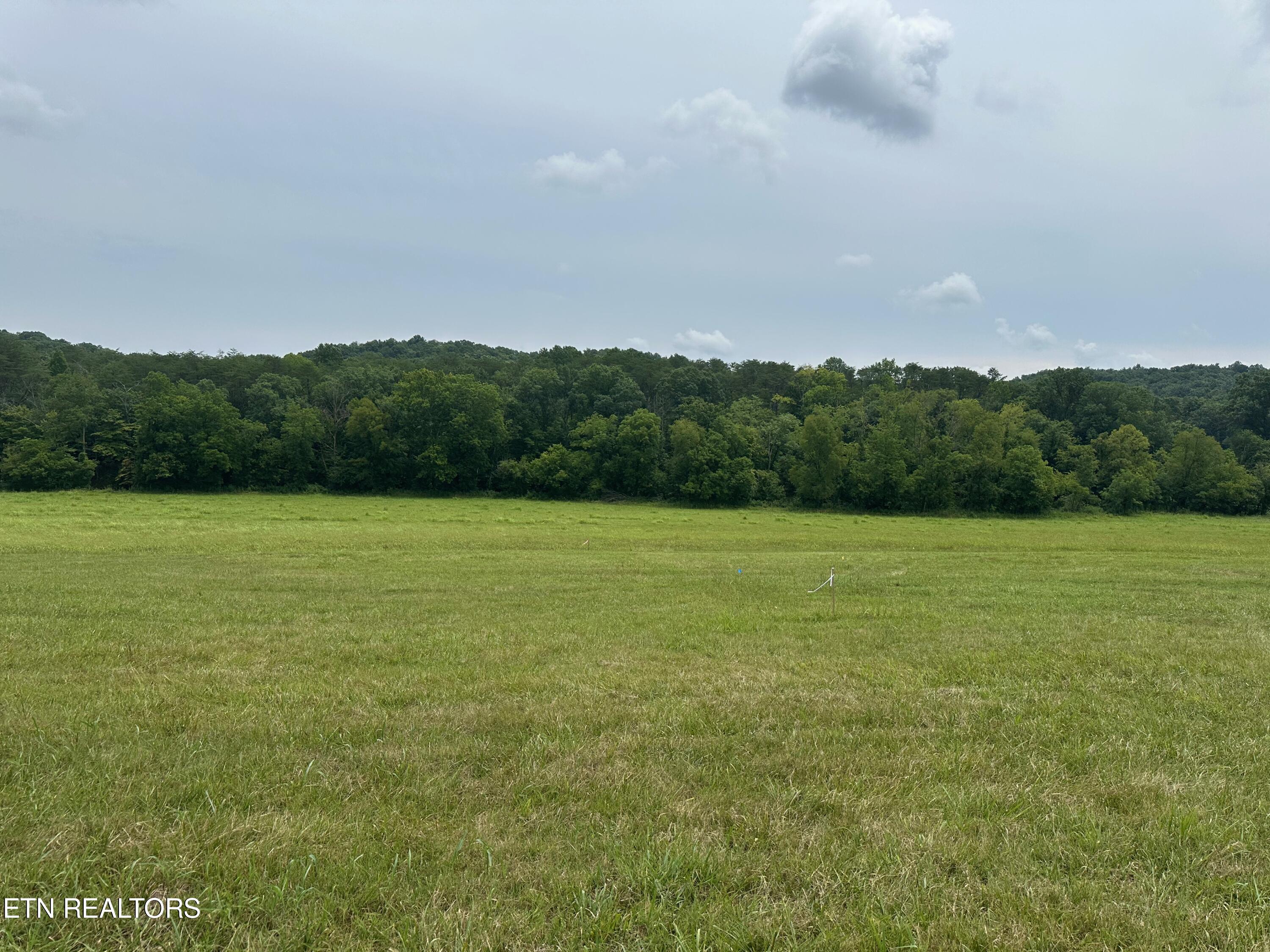 Lot 7 Rutledge Pike