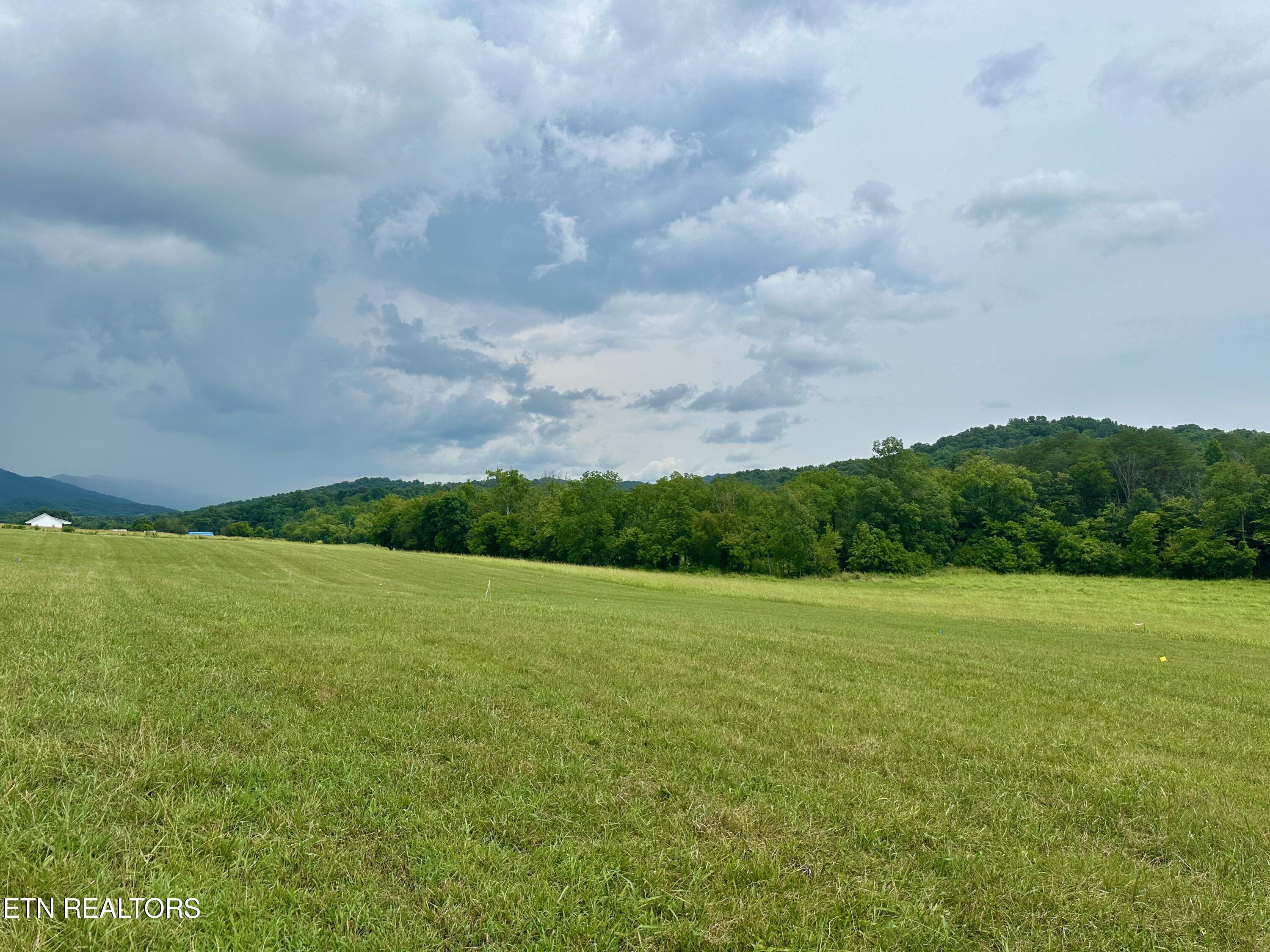 Lot 7 Rutledge Pike