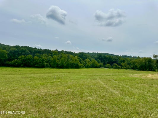137 RUTLEDGE PIKE, BLAINE, TN 37709 - Image 8628ac0fbd624a1faee2d71e593a545e/3739150034