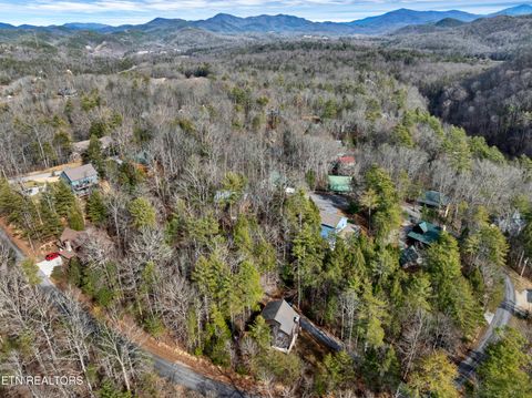 Tiny photo for 319 Rainbow Circle, Townsend, TN 37882 (MLS # 1326458)