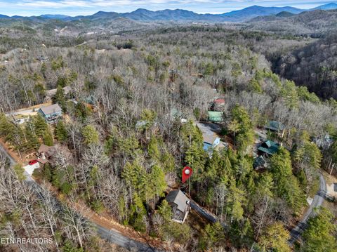 Tiny photo for 319 Rainbow Circle, Townsend, TN 37882 (MLS # 1326458)