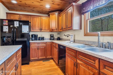 Tiny photo for 319 Rainbow Circle, Townsend, TN 37882 (MLS # 1326458)