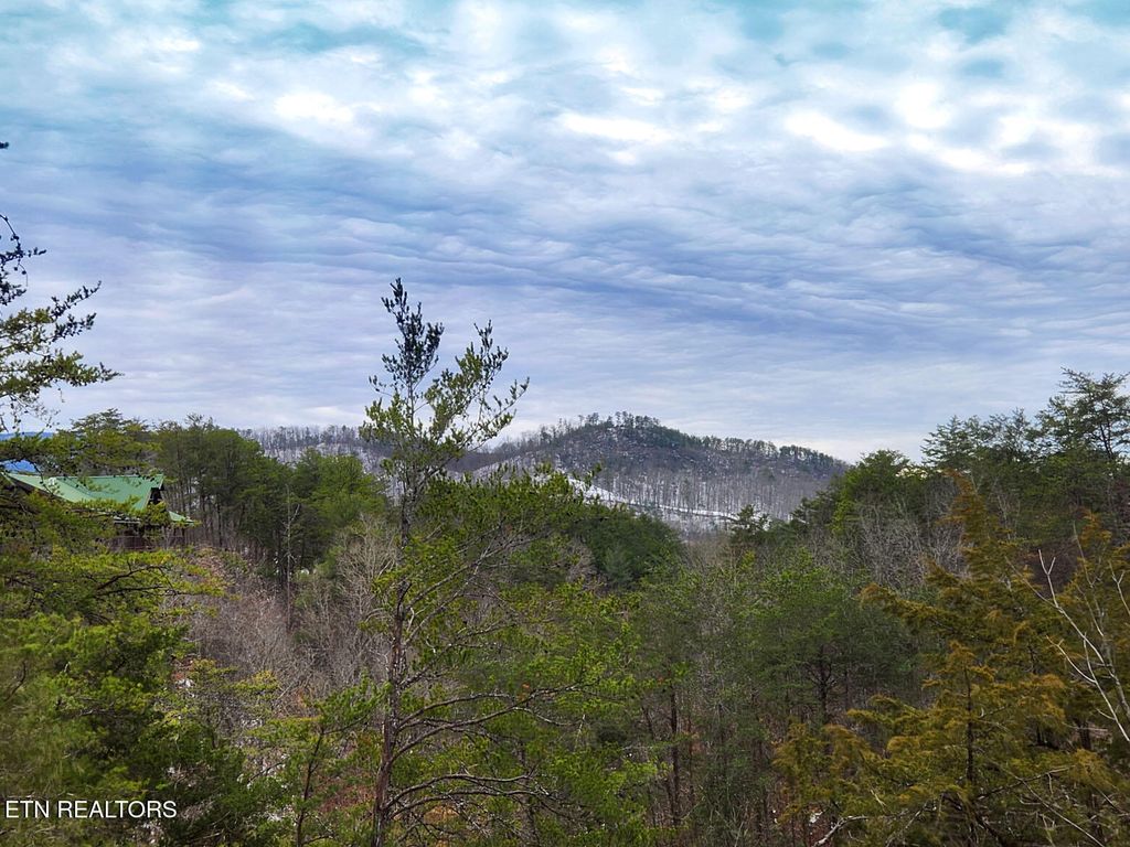 Photo of 3215 White Falcon Way, Pigeon Forge, TN 37863 (MLS # 1288687)