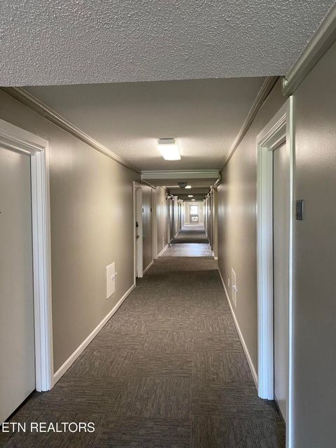 Tiny photo for 1700 Clinch Ave #503, Knoxville, TN 37916 (MLS # 1339112)