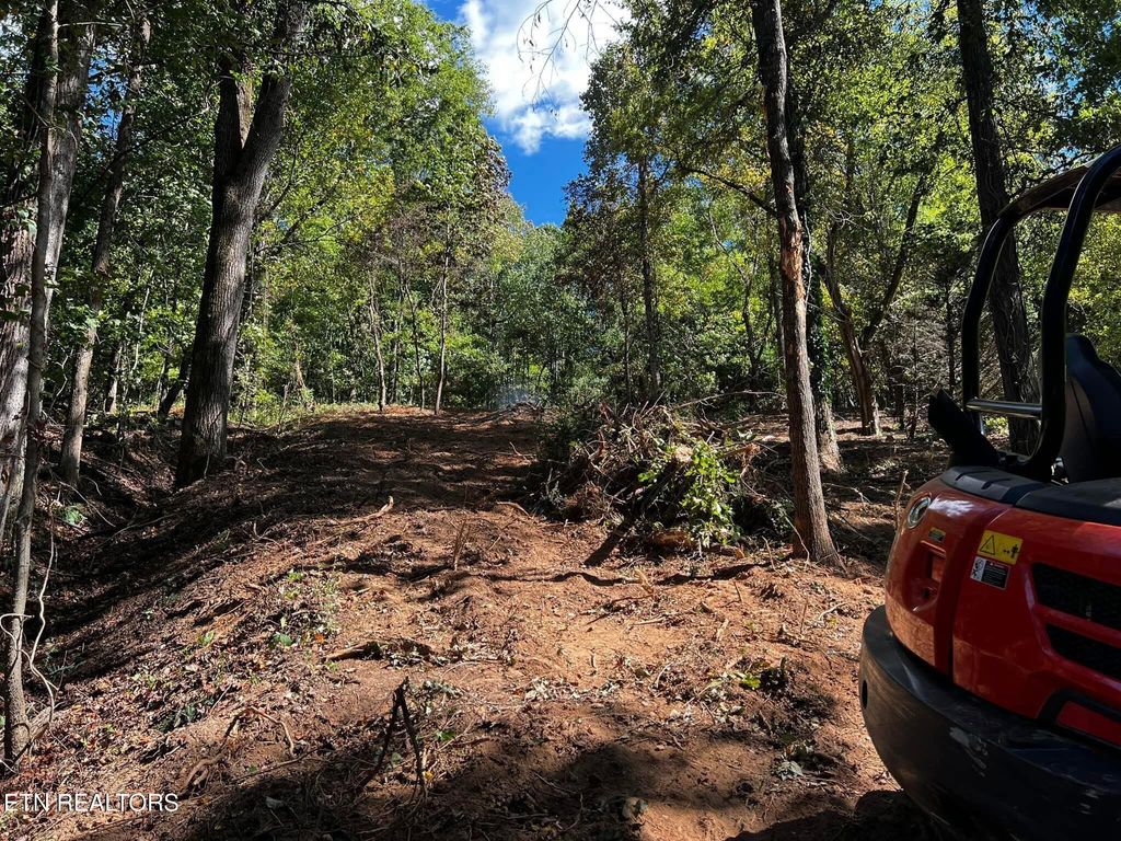 Photo of 00 Johnson LN, Ten Mile, TN 37880 (MLS # 1299266)
