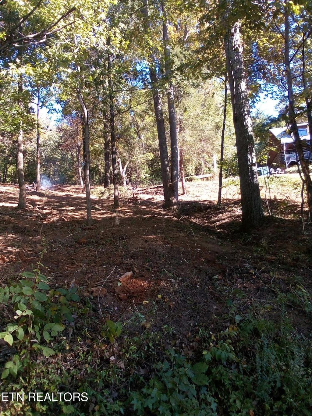 Photo of 00 Johnson LN, Ten Mile, TN 37880 (MLS # 1299266)