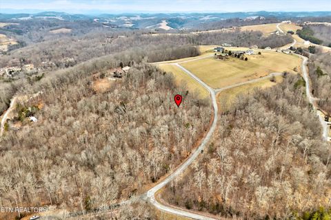 Tiny photo for 306 Sapphire Court, New Tazewell, TN 37825 (MLS # 1328370)