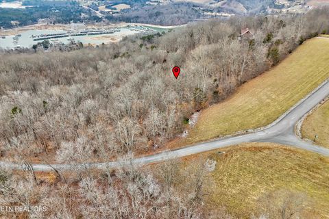 Tiny photo for 306 Sapphire Court, New Tazewell, TN 37825 (MLS # 1328370)