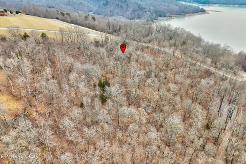 Tiny photo for 306 Sapphire Court, New Tazewell, TN 37825 (MLS # 1328370)