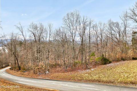 Tiny photo for 306 Sapphire Court, New Tazewell, TN 37825 (MLS # 1328370)