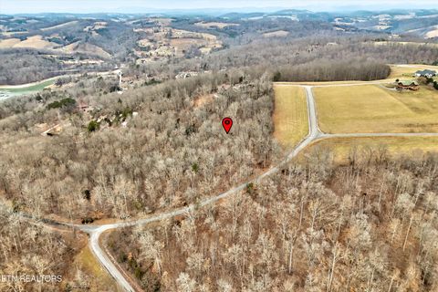 Tiny photo for 306 Sapphire Court, New Tazewell, TN 37825 (MLS # 1328370)