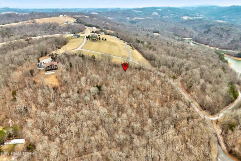 Tiny photo for 306 Sapphire Court, New Tazewell, TN 37825 (MLS # 1328370)