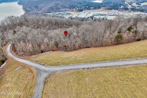 Tiny photo for 306 Sapphire Court, New Tazewell, TN 37825 (MLS # 1328370)