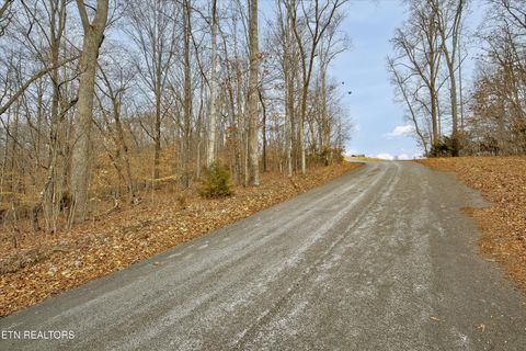 Tiny photo for 306 Sapphire Court, New Tazewell, TN 37825 (MLS # 1328370)