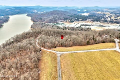 Tiny photo for 306 Sapphire Court, New Tazewell, TN 37825 (MLS # 1328370)