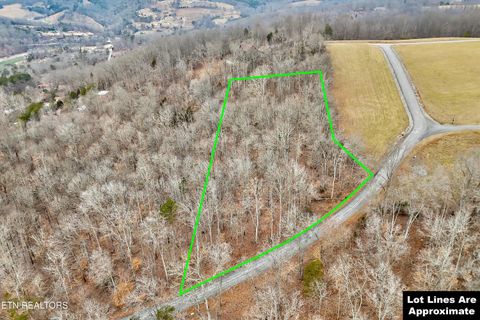 Photo of 306 Sapphire Court, New Tazewell, TN 37825 (MLS # 1328370)