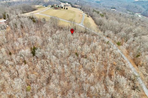 Tiny photo for 306 Sapphire Court, New Tazewell, TN 37825 (MLS # 1328370)