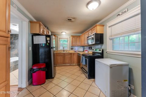 4220 Reed Rd Louisville TN 37777