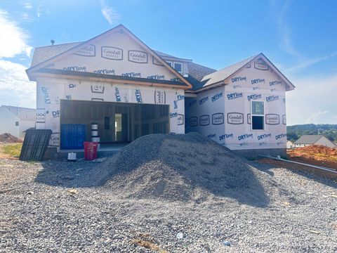 340 Sugar Maple Trail (Lot 122) Lenoir City TN 37771