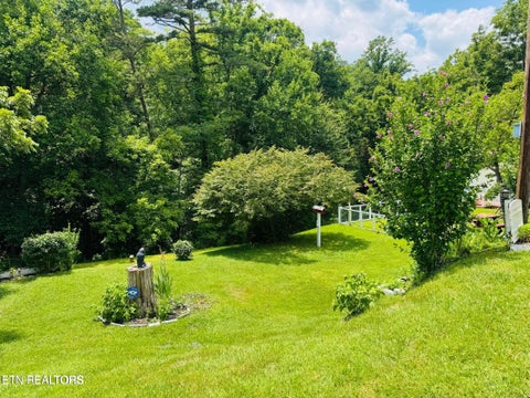 Tiny photo for 681 Island Cove Rd, Rocky Top, TN 37769 (MLS # 1359287)