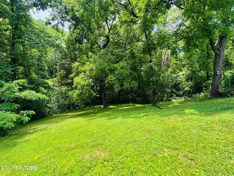Tiny photo for 681 Island Cove Rd, Rocky Top, TN 37769 (MLS # 1359287)