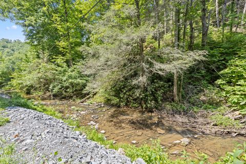 Tiny photo for 449 Carpenter Rd, Mooresburg, TN 37811 (MLS # 1337004)