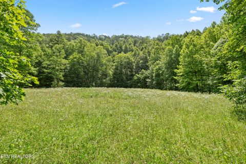 Tiny photo for 449 Carpenter Rd, Mooresburg, TN 37811 (MLS # 1337004)