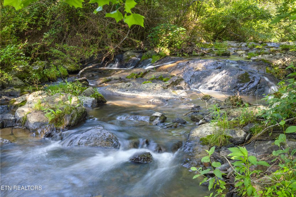 Photo of 449 Carpenter Rd, Mooresburg, TN 37811 (MLS # 1337004)