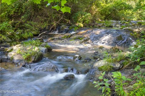 Tiny photo for 449 Carpenter Rd, Mooresburg, TN 37811 (MLS # 1337004)