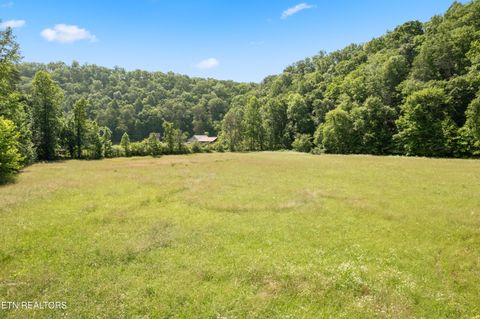 Tiny photo for 449 Carpenter Rd, Mooresburg, TN 37811 (MLS # 1337004)