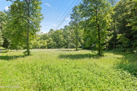 Tiny photo for 449 Carpenter Rd, Mooresburg, TN 37811 (MLS # 1337004)