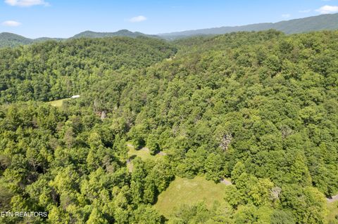 Tiny photo for 449 Carpenter Rd, Mooresburg, TN 37811 (MLS # 1337004)