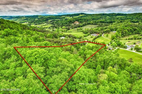 Tiny photo for 235 Raccoon Valley Rd, Maynardville, TN 37807 (MLS # 1339096)
